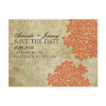 Vintage Orange Queen Anne's Lace Save the Date Postcard