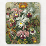 Vintage Orchids Mousepads