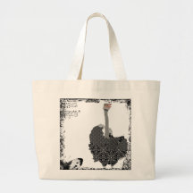 Vintage Ostrich Art Bag