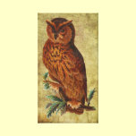 Vintage Owl canvas prints