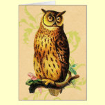Vintage Owl cards