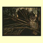 Vintage Owl in the Woods postcards