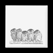 Vintage Owls magnets