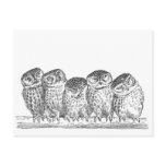 Vintage Owls Post Cards