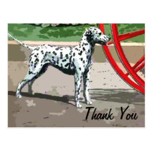 vintage painted dalmatian thank you postcard