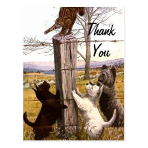 vintage painted terriers thank you postcard