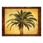 Vintage Palm Tree - Tropical Customized Template Photograph
