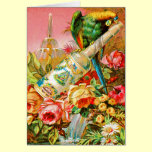 Vintage Parrott cards