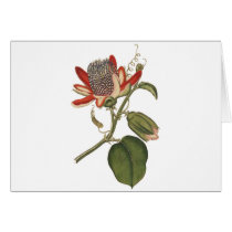 Vintage Passion Flower
