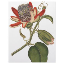 Vintage Passion Flower