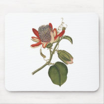Vintage Passion Flower