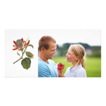 Vintage Passion Flower Photo Greeting Card