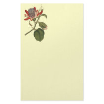 Vintage Passion Flower Personalized Stationery