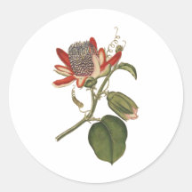 Vintage Passion Flower Sticker