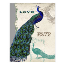Vintage Peacock 5 - Formal Wedding Invitation