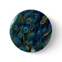Vintage Peacock Pinback Button