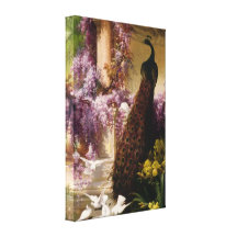 Vintage Peacock Canvas Print