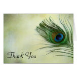 Vintage Peacock Feather Thank You Greeting Card
