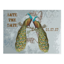 Vintage Peacock Grunge Damask on Grey Postcards