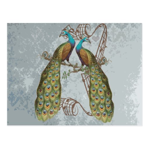 Vintage Peacock Grunge Damask on Silver Post Card