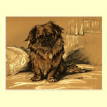 Vintage Pekingeses postcards