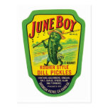Vintage Pickles Food Product Label Post Card