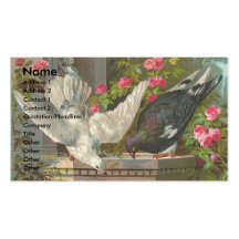 Vintage Pigeons Business Card