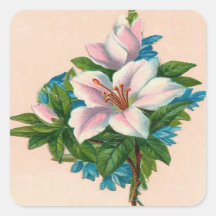 Vintage Pink Flower, Grandmother Birthday Square Stickers