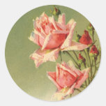Vintage Pink Garden Roses for Valentine's Day Sticker