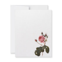 Vintage Pink Garden Roses Announcement
