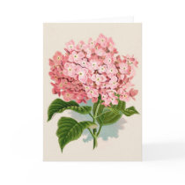 Vintage Pink Hydrangea Card