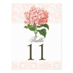 Vintage Pink Hydrangea Wedding Table Number Post Card