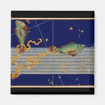 Vintage Pisces Star Chart Magnet