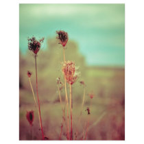 Vintage plants