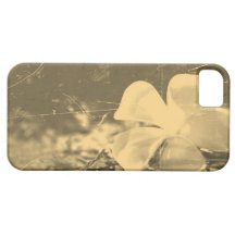 Vintage Plumeria Flower Abstract Art