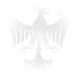 Vintage Polish Eagle t shirt