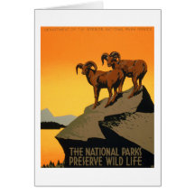 VIntage Preserve Wildlife Poster Card