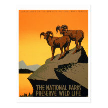 VIntage Preserve Wildlife Poster Postcards