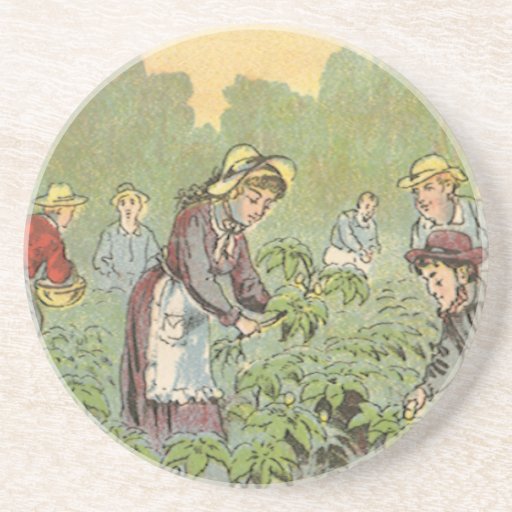 Vintage Product Label; Wells' May Apple Pills Drink Coasters