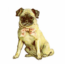 Vintage Pug Puppy Pin Photo Cutouts