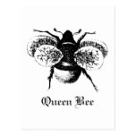 Vintage Queen Bee postcards