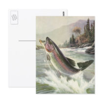 Vintage Rainbow Trout and Fisherman Post Cards