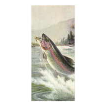 Vintage Rainbow Trout  Fish Fisherman Fishing Custom Rack Card