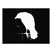 Vintage Raven Silhouette White on Black - Custom Art Photo