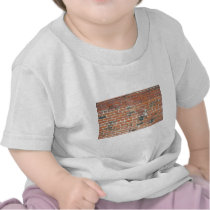 Vintage Red Brick Wall Texture Tee Shirts