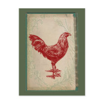 Vintage Red Rooster Shabby Chic Grunge Chicken Post Card