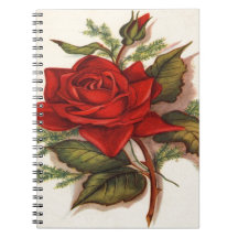 Vintage, Red Rose Note Book