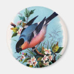 Vintage Retro Bird on a Branch Magnet