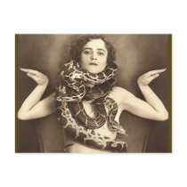 Vintage Retro Women Sideshow Snake Charmer Postcards