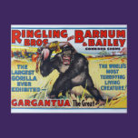 Vintage Ringling Bros Postcard postcards